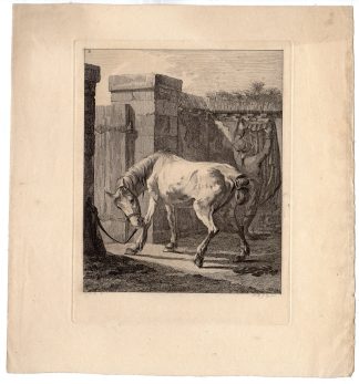 Antique Master Print-ANIMAL-HORSE-BITING-LEG-MAN-WALL-Bemme-Langendijk-1810