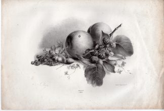 Antique Print-STILL LIFE-FRUIT-FLOWERS-PEACHES-BLACKBERRIES-BERRIES-Weiss-1830